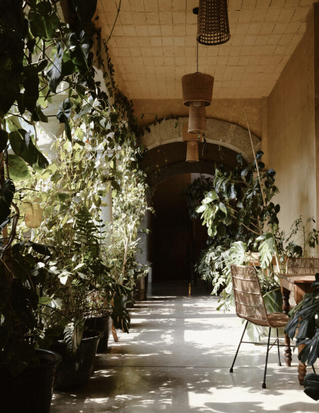 Casa Antonieta, Oaxaca