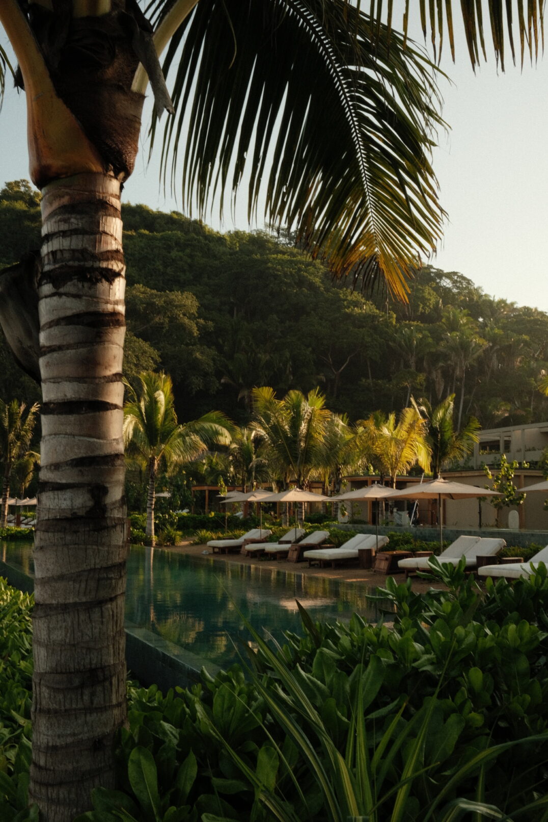 Pool Rosewood Mandarina